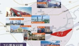 黄琴最新爆料视频大全集,揭秘娱乐圈不为人知的一面